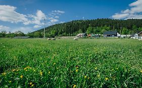 Apartamenty Leśna